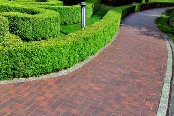Sidewalk